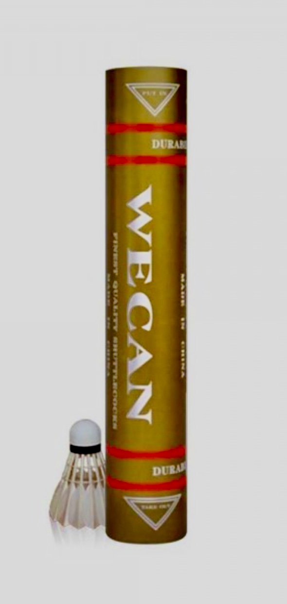 9E2224F4-A067-48EC-B837-D92E81216519